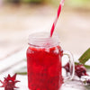 Florida Cranberry (Hibiscus sabdariffa)
