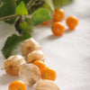 Hawaiian Poha Berry (Physalis peruviana)