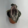 Alocasia Azlanii