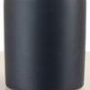 Epipremnum aureum 'Pothos' in Black Ceramic Cylinder Planter