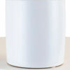 Aloe Vera House Plant in White Ceramic Cylinder Planter