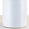 Epipremnum aureum 'Pothos' in White Ceramic Cylinder Planter