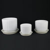 3-Piece White Stoneware Planter Set with Fluted Design