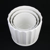 3-Piece White Ceramic Planter Pot Set with Fluted Design & Saucers