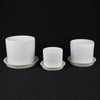3-Piece White Stoneware Planter Set with Geometric Line Design