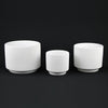 3-Piece White Stoneware Planter Pot Set with Ribbed Texture