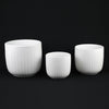 3-Piece White Stoneware Planter Pot Set with Vertical Groove Texture