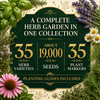 Popular Herb Seeds for Planting – 35 Variety Pack – photo 2