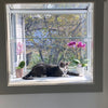 Garden Window