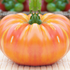 50 OAXACAN JEWEL TOMATO Bicolor Golden Yellow Striped Red Mexican Lycopersicon Vegetable Seeds