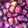 100 LILAC BELL PEPPER Capsicum Annuum Sweet Mild Purple Vegetable Seeds