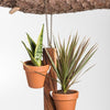 2 Pot Hanging Or Standing Plant Holder For 4in-6in Terra Cotta Pots