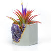 AMETHYST GEODE PLANTER