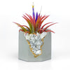 RAW MOONSTONE GEODE PLANTER