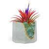 GREEN APATITE GEODE PLANTER