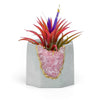 ROSE QUARTZ GEODE PLANTER