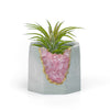 ROSE QUARTZ GEODE PLANTER