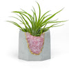 ROSE QUARTZ GEODE PLANTER