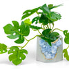 BLUE CALCITE GEODE PLANTER