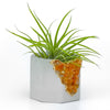 RED AVENTURINE GEODE PLANTER