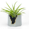 BLACK TOURMALINE GEODE PLANTER