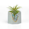 FLUORITE GEODE PLANTER