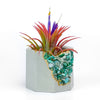AMAZONITE GEODE PLANTER
