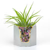 TOURMALINE GEODE PLANTER