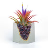 GARNET GEODE PLANTER