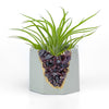 GARNET GEODE PLANTER