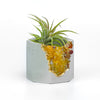 YELLOW AGATE GEODE PLANTER