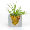 YELLOW AGATE GEODE PLANTER