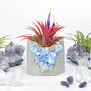 BLUE CALCITE GEODE PLANTER