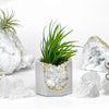 Raw CLEAR QUARTZ GEODE PLANTER