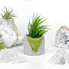 GREEN PERIDOT GEODE PLANTER