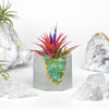 GREEN APATITE GEODE PLANTER