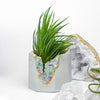 FLUORITE GEODE PLANTER