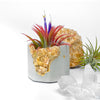 ORANGE CALCITE GEODE PLANTER