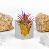 YELLOW AGATE GEODE PLANTER