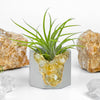 Raw CITRINE GEODE PLANTER