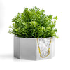 Raw CLEAR QUARTZ GEODE PLANTER