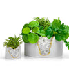 Raw CLEAR QUARTZ GEODE PLANTER
