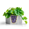 AMETHYST GEODE PLANTER
