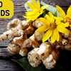 20 JERUSALEM ARTICHOKE Sunchoke Sunroot Helianthus Tuberosus Yellow Sunflower Root Vegetable Seeds