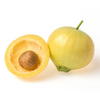 Rose Apple (Syzygium jambos)