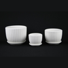 3-Piece White Ceramic Planter Pot Set with Vertical Fluted Design & Matching Saucers
