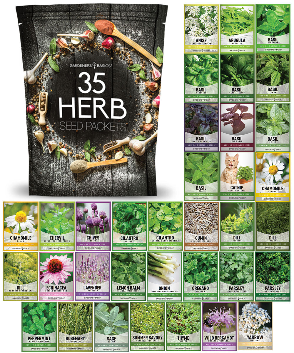 Popular Herb Seeds for Planting – 35 Variety Pack – photo 10