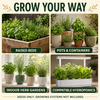 Popular Herb Seeds for Planting – 35 Variety Pack – photo 3