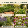 Popular Herb Seeds for Planting – 35 Variety Pack – photo 5
