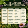 Popular Herb Seeds for Planting – 35 Variety Pack – photo 6